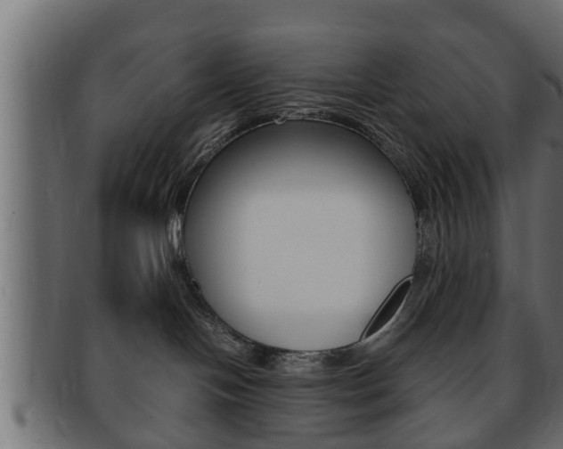 X0000092310094200709141040