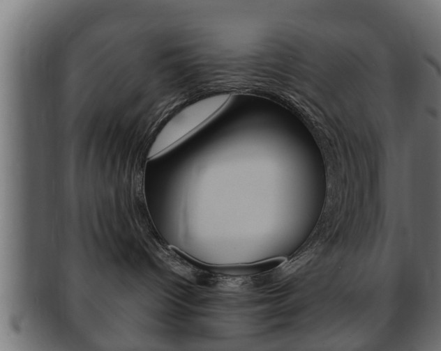 X0000092310096200709141040