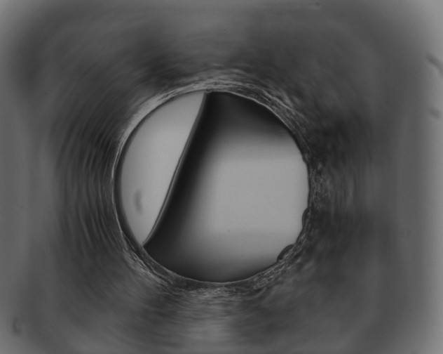 X0000092310100200709141039
