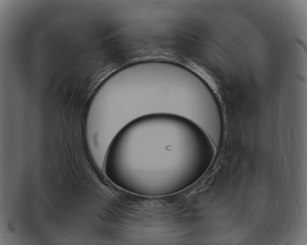 X0000092310105200709141039