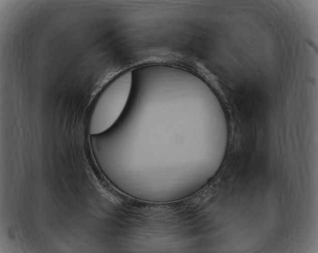X0000092310106200709141039