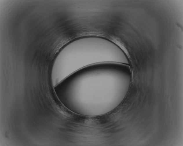 X0000092310109200709141039