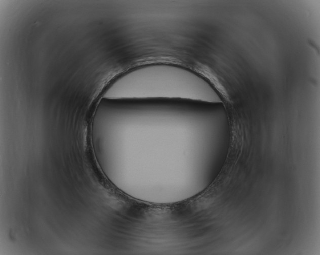 X0000092310110200709141039