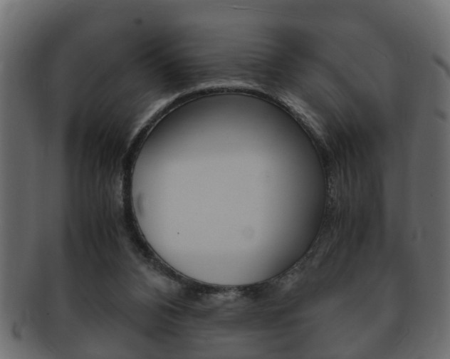 X0000092310112200709141039
