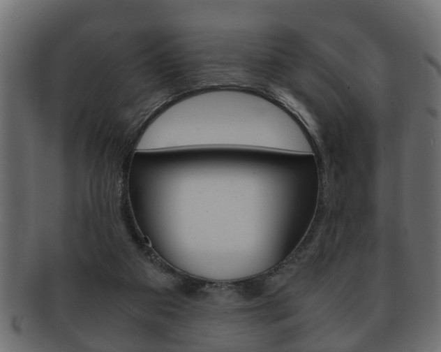 X0000092310113200709141039
