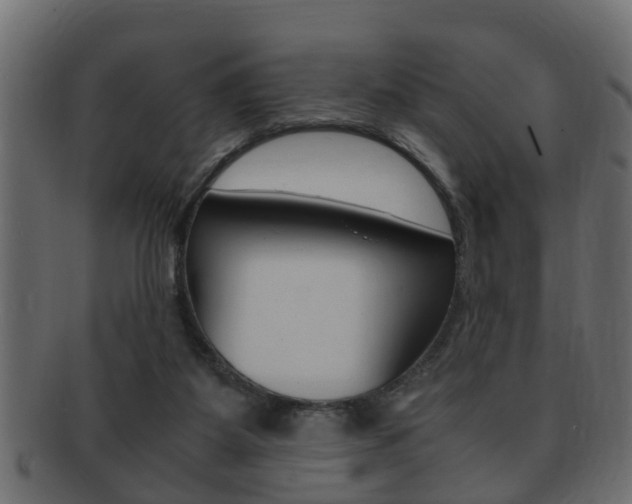 X0000092310115200709141039