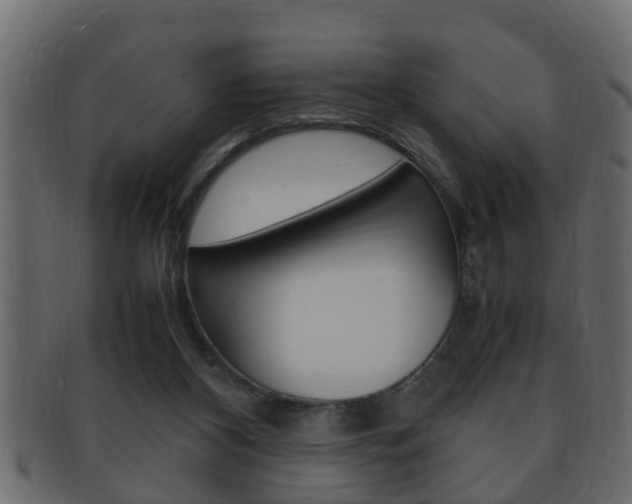 X0000092310116200709141039