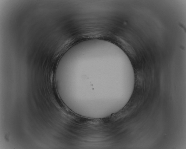 X0000092310118200709141039