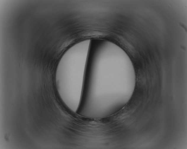 X0000092310119200709141039