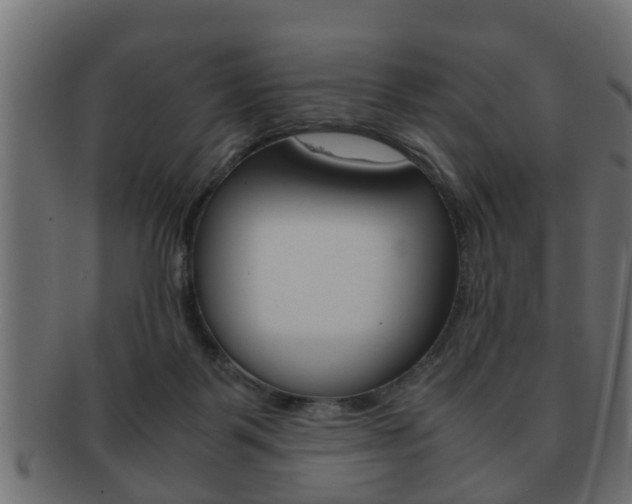 X0000092310123200709141039