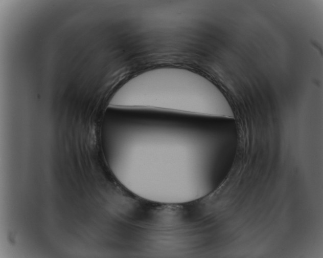 X0000092310128200709141039