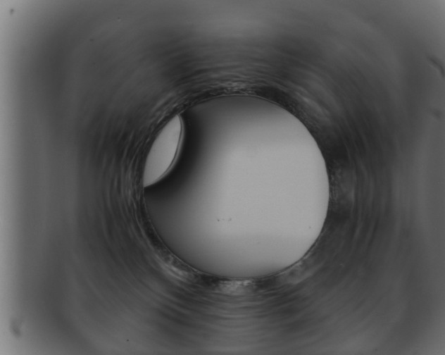 X0000092310136200709141039