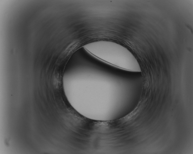 X0000092310140200709141039