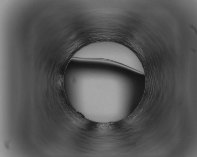 X0000092310141200709141039