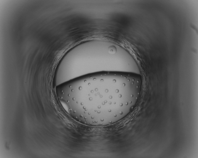 X0000092310145200709141038