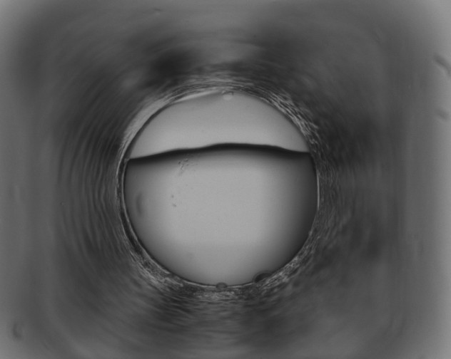 X0000092310147200709141038