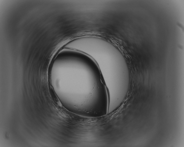 X0000092310148200709141038