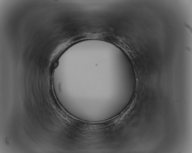 X0000092310149200709141038