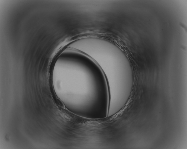 X0000092310150200709141038