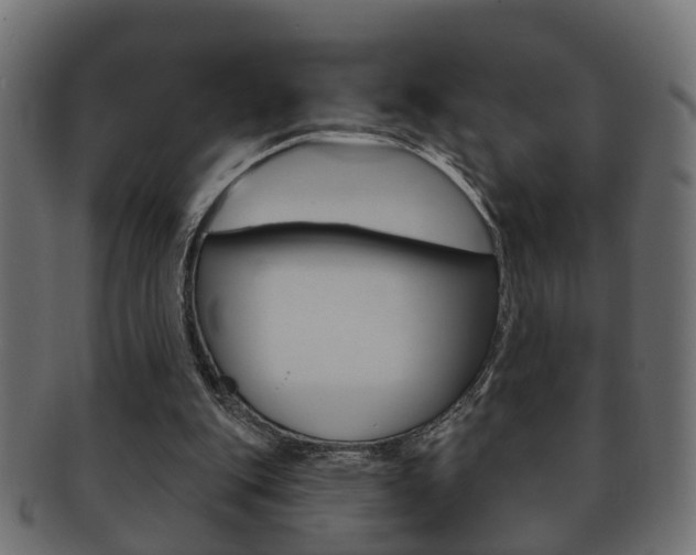 X0000092310151200709141038
