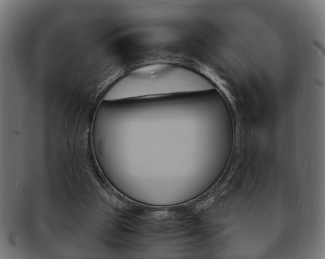 X0000092310153200709141038