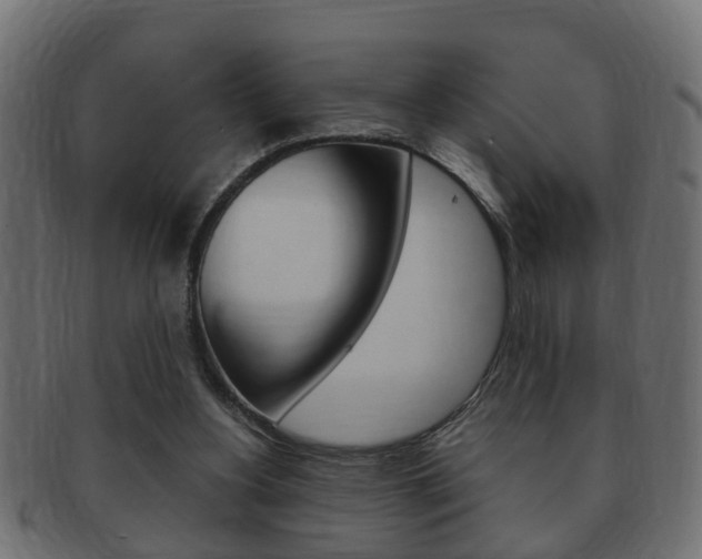 X0000092310156200709141038