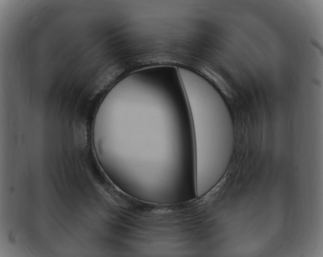 X0000092310158200709141038