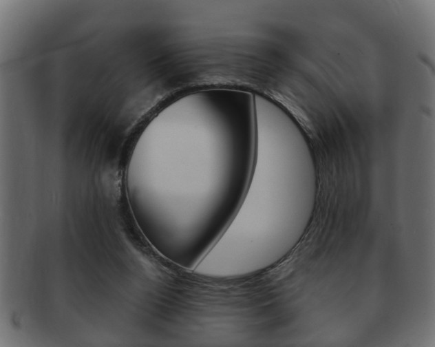 X0000092310160200709141038