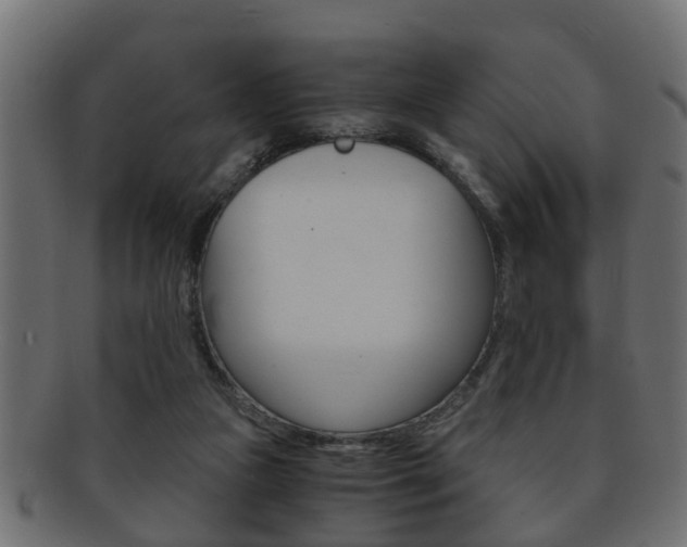 X0000092310161200709141038