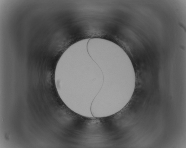 X0000092310162200709141038