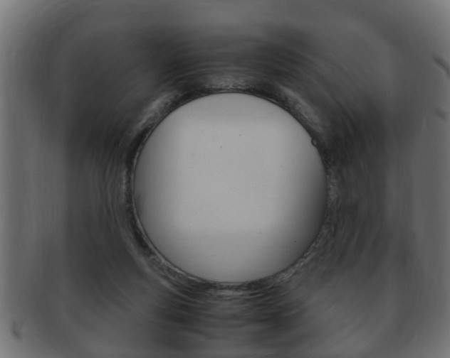 X0000092310163200709141038