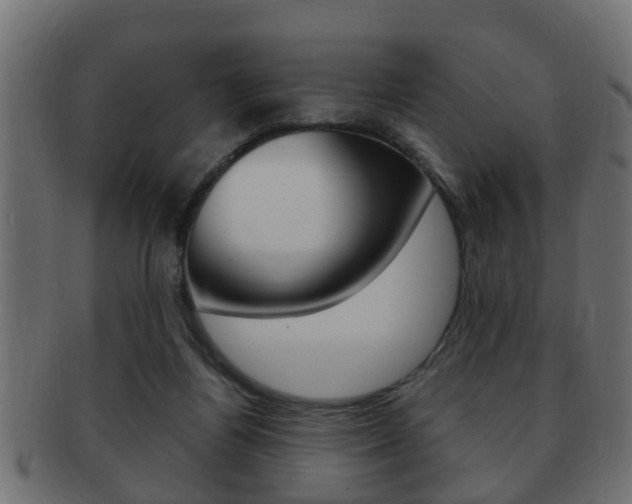 X0000092310164200709141038