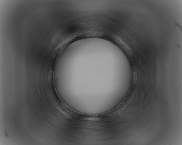 X0000092310165200709141038