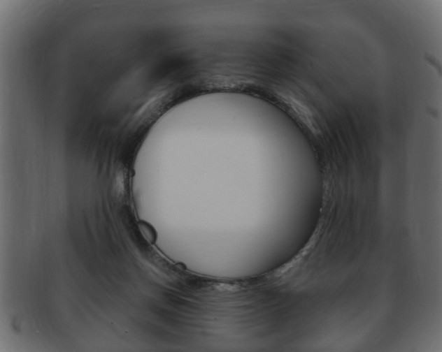 X0000092310166200709141038