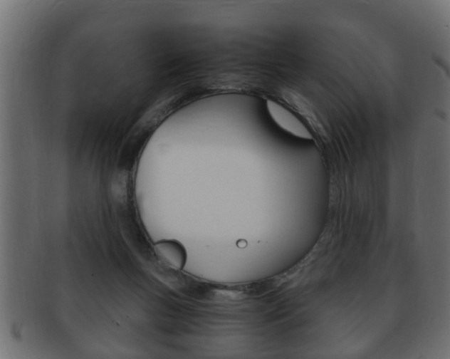 X0000092310167200709141038