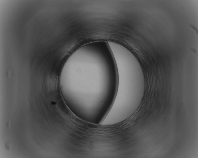 X0000092310168200709141038
