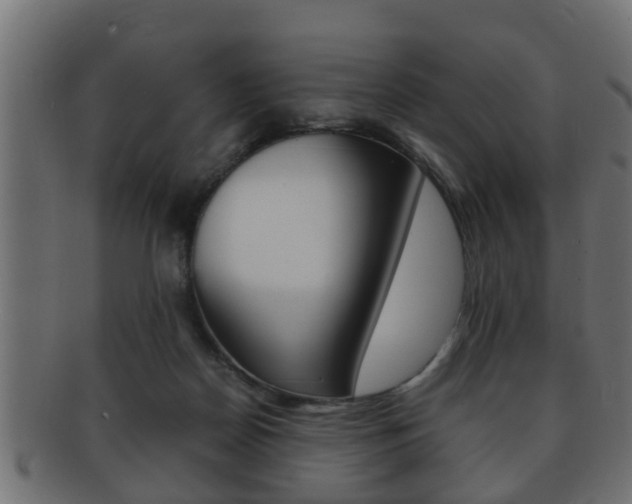 X0000092310170200709141038