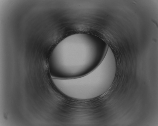 X0000092310176200709141038