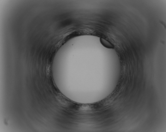 X0000092310177200709141038