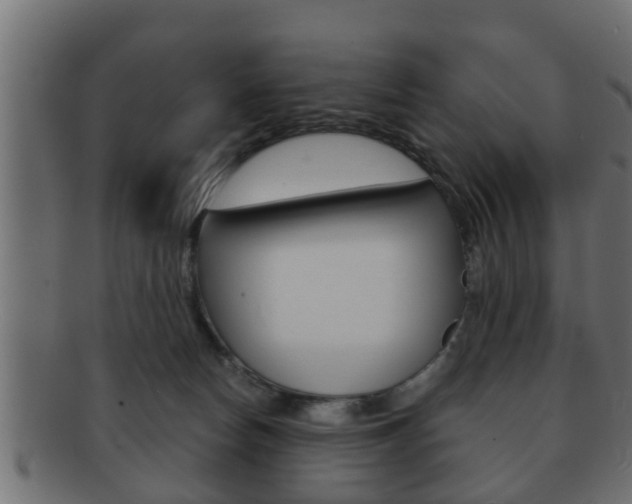 X0000092310178200709141038