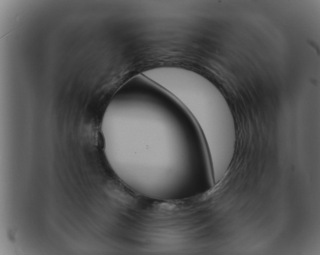 X0000092310180200709141038
