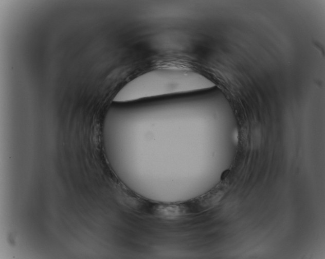 X0000092310181200709141038