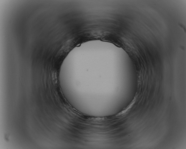 X0000092310182200709141038