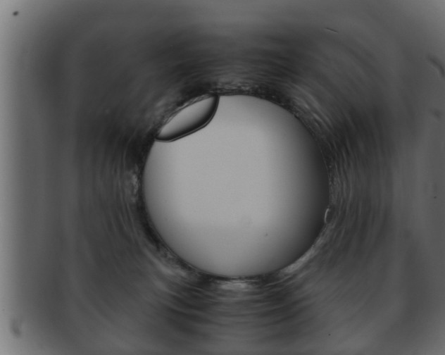 X0000092310183200709141038