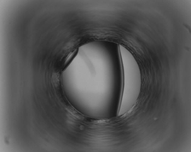 X0000092310184200709141038