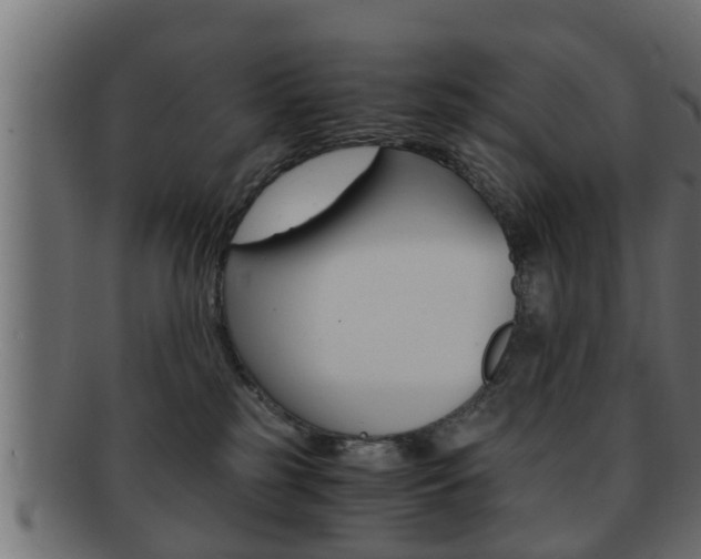X0000092310185200709141038