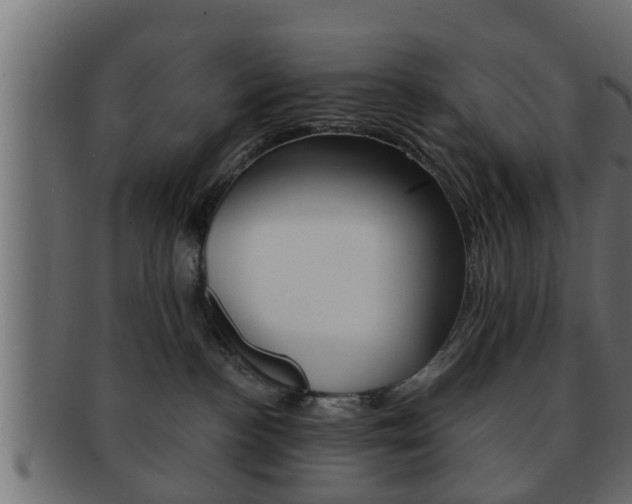 X0000092310188200709141038