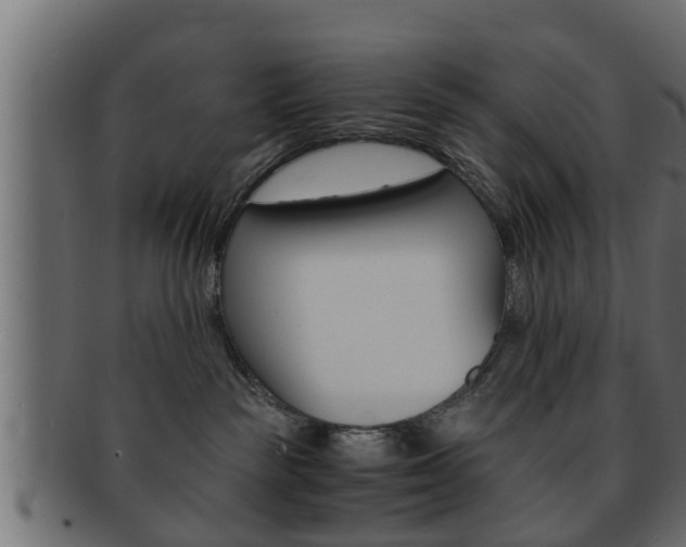 X0000092310189200709141038