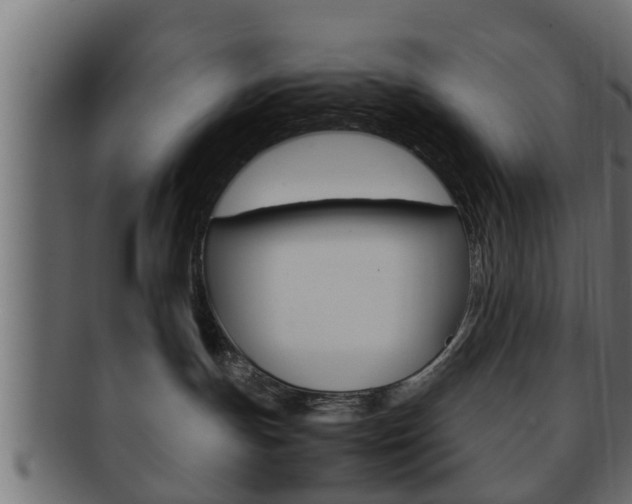 X0000092310191200709141038