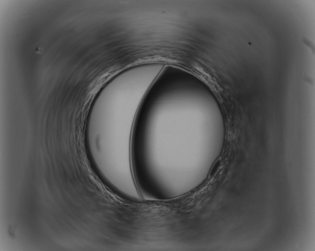 X0000092310193200709141038